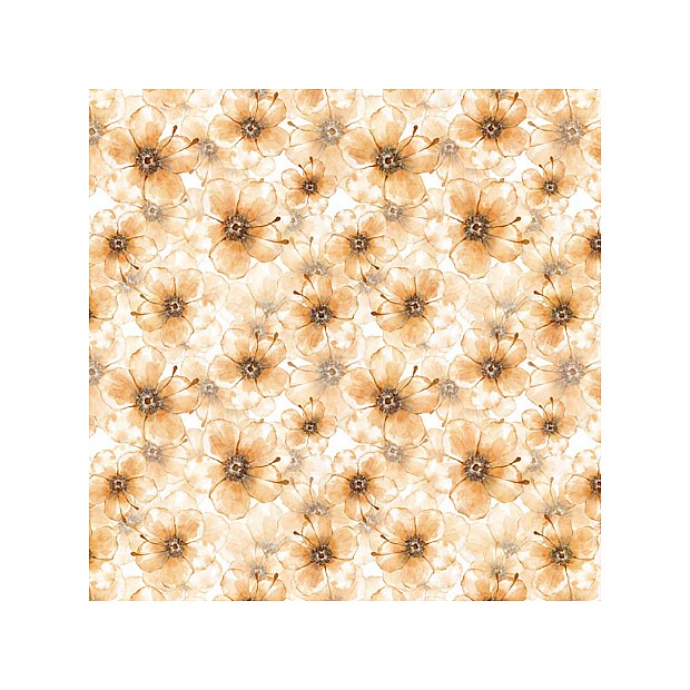 Blossom
