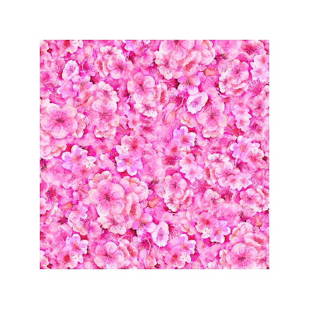 Blossom