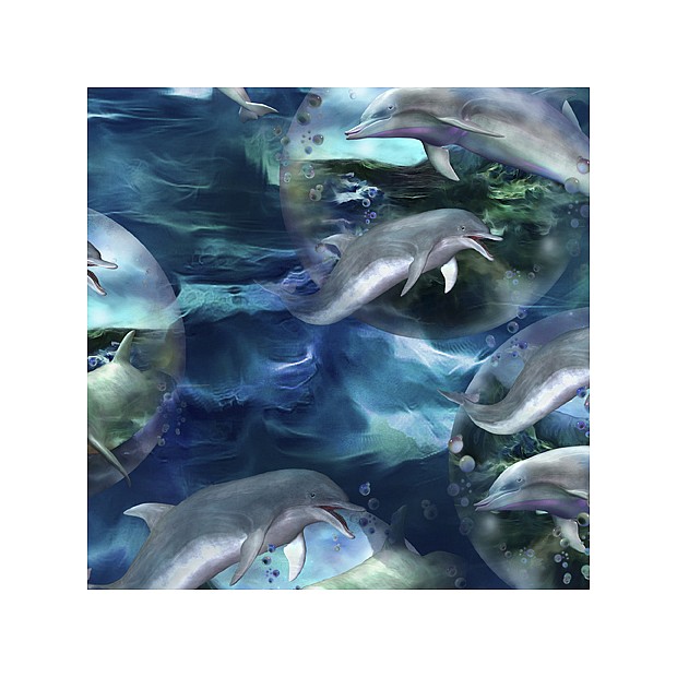 Dazzling Dolphins