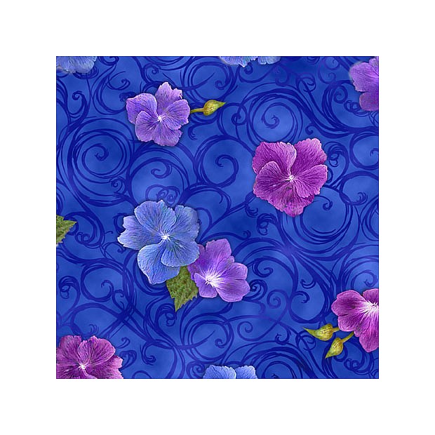 Hydrangea Blooms