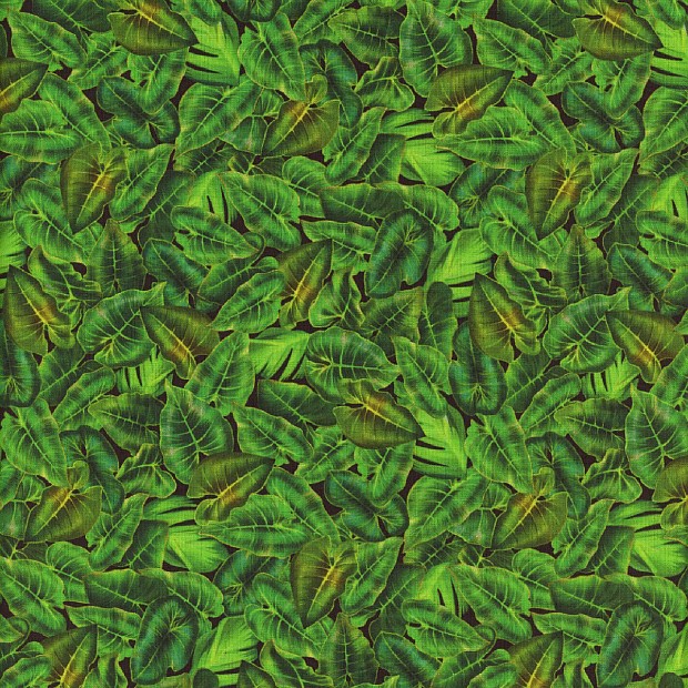 Jungle Paradise