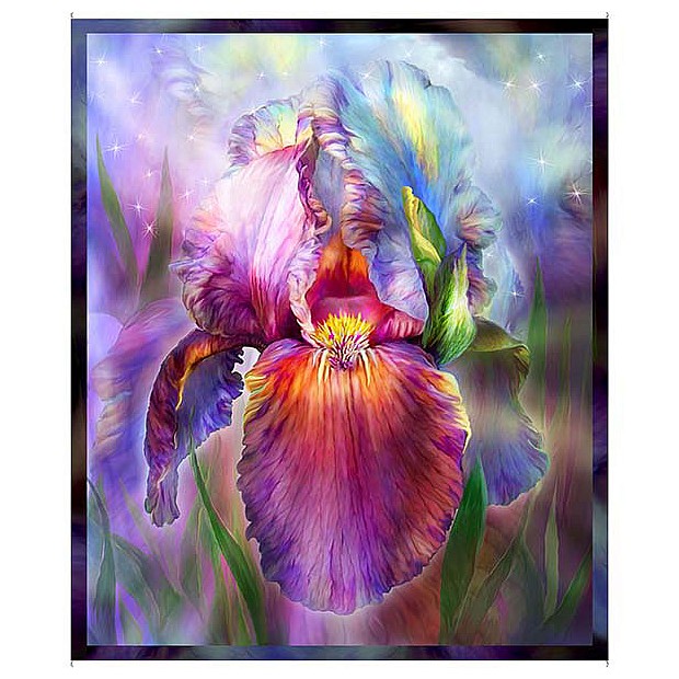 Rainbow Iris