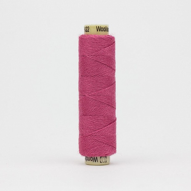 Ellana EN22 Raspberry