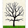Diversitree, BOM panel 1.35 m