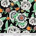 Embroidered Shawl