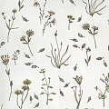 Botanicals