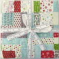 4 pcs Express Quilt Tops - digitally printed - all ready!