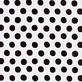 Spot