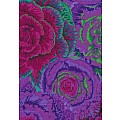 Brassica