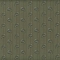 Centenary Collection