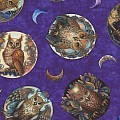 Mystic Owls