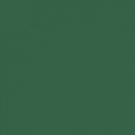 Procion Fiber Reactive Dye 56 g Dark Green