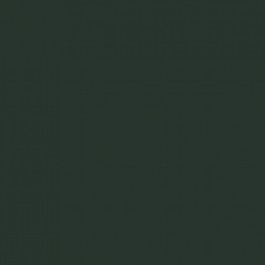 Procion Fiber Reactive Dye 56 g Black