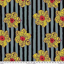 Zebra Lily