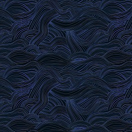 Polar Seas