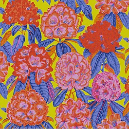 Rhododendrons