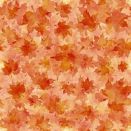 Reflections of Autumn 2