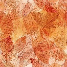 Reflections of Autumn 2