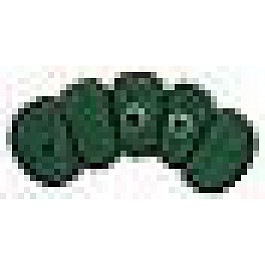 Inchworm (15 x 7 mm)