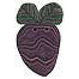 Beet (14 x 18 mm)