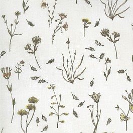 Botanicals