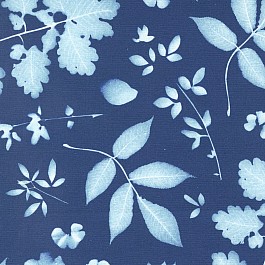 Bluebell
