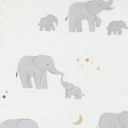 To the Moon and Back