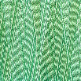 Multicolor Silk-Finish Cotton 50 col 9821