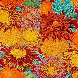 Japanese Chrysanthemum