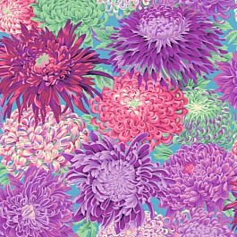 Japanese Chrysanthemum