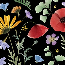 Wildflowers