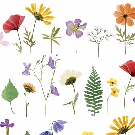 Wildflowers