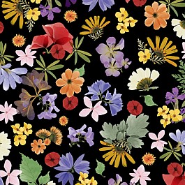 Wildflowers