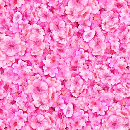 Blossom