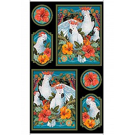 Cockatoos