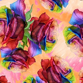 Rainbow Roses