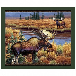 Magnificent Moose