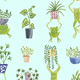 Frogs & Fronds