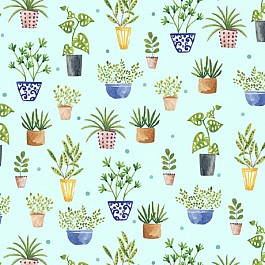 Frogs & Fronds