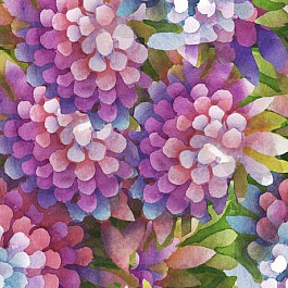 My Watercolor Garden