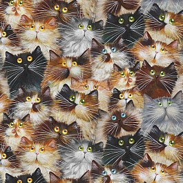 Cat Pack, Quilt Back 274 cm (108'')