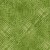 Vertex