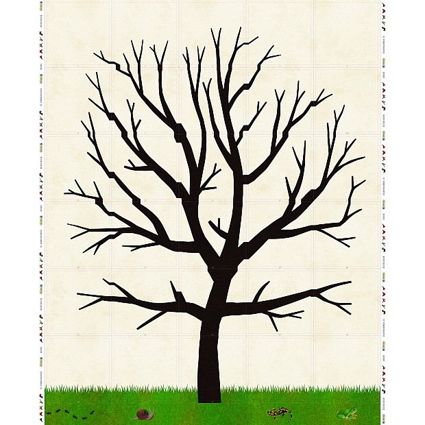 Diversitree, BOM panel 1.35 m