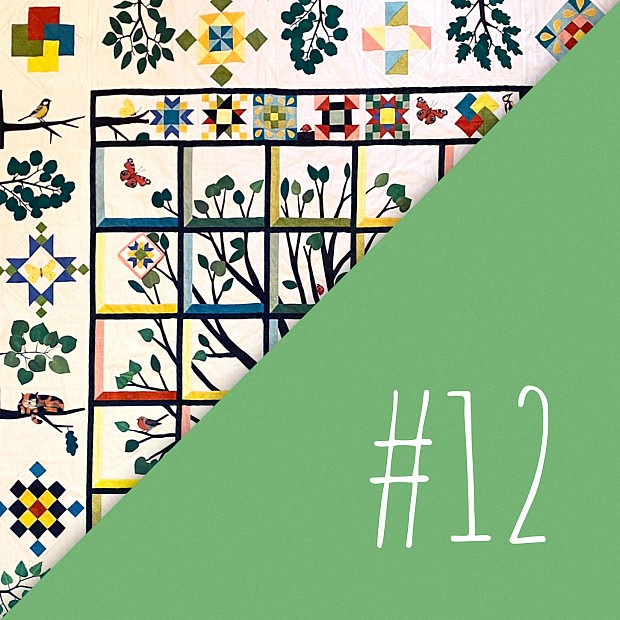 Diversitree Block of the Month Nr. 12 B