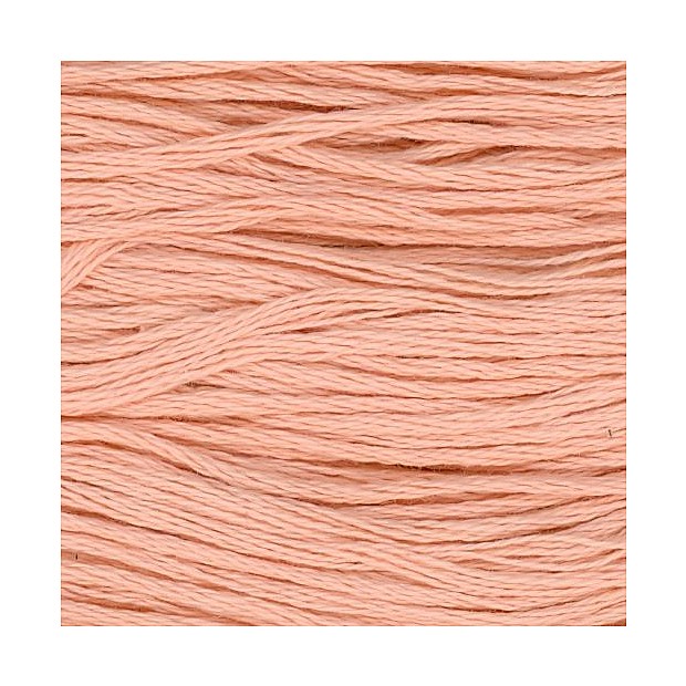 Cosmo 25 Embroidery 100% cotton 8m 461