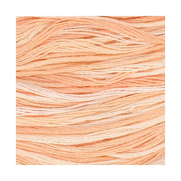 Cosmo 80 Seasons 100% cotton 8m 8045