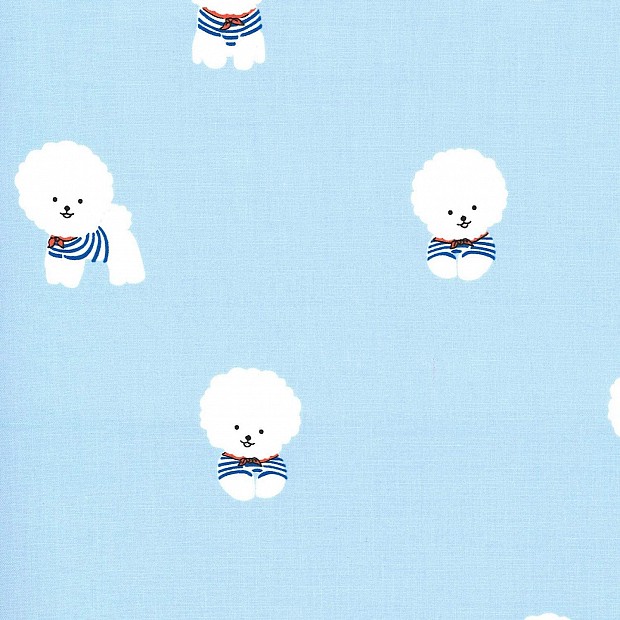 Bichon Frise