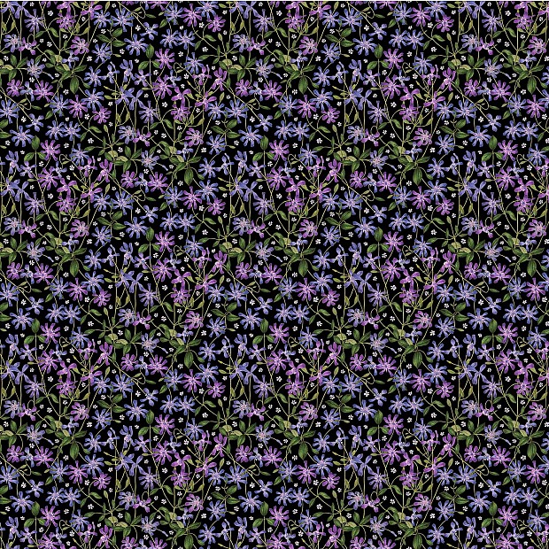 Fleurs