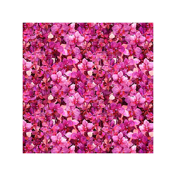 Blossom