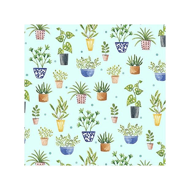 Frogs & Fronds